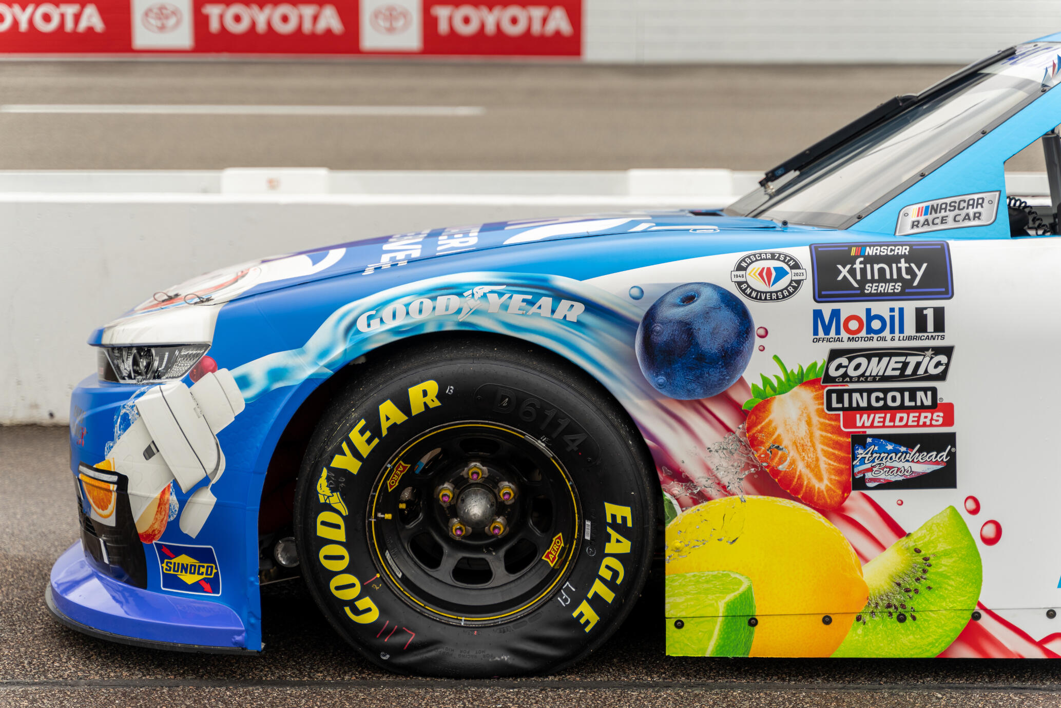 Efficitur faucibus vitae