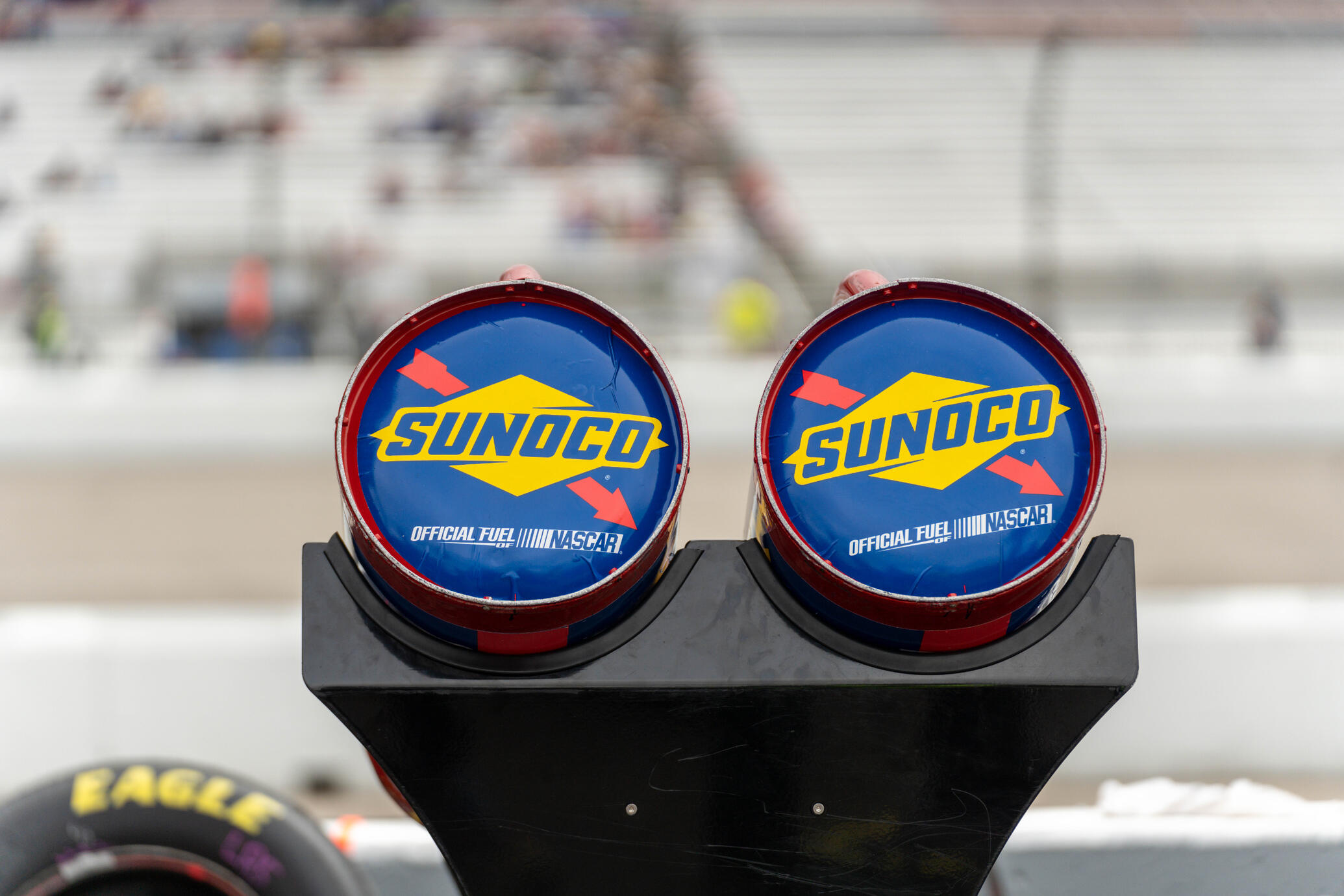 Varius leo fermentum